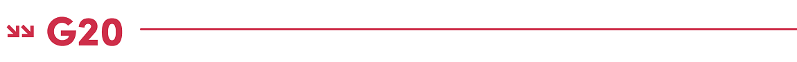G20